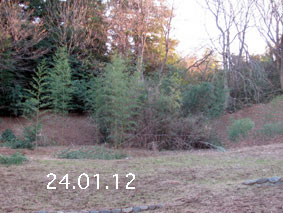 |1|24.1.12