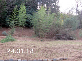 |1|24.1.18