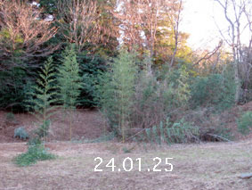 |1|24.1.25