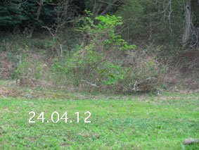 |1|24.4.12