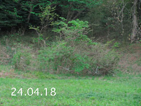 |1|24.4.18