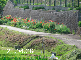 Ԓd|24.4.28