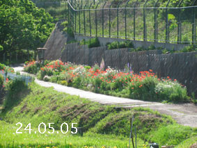 Ԓd|24.5.5