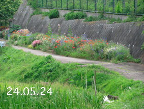 Ԓd|24.5.24