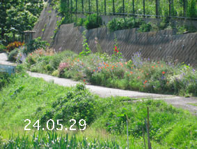 Ԓd|24.5.29