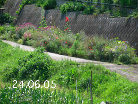 Ԓd|24.6.5