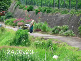 Ԓd|24.6.20