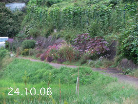 Ԓd|24.10.6