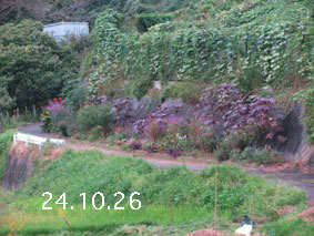 Ԓd|24.10.26