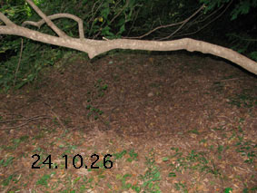 ͔n24.10.26