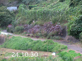 Ԓd|24.10.30