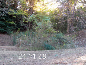 |1|24.11.28