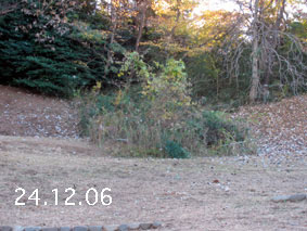 |1|24.12.6