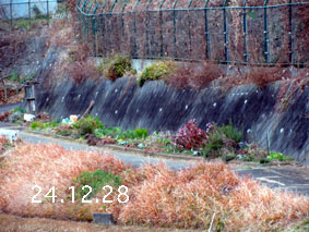 Ԓd|24.12.28