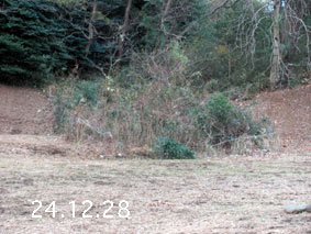 |1|24.12.28