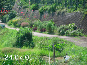 Ԓd|24.7.5