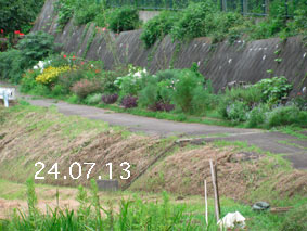 Ԓd|24.7.13