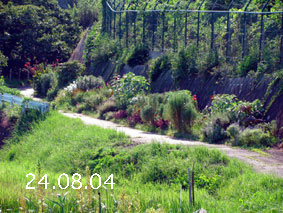 Ԓd|24.8.4