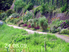 Ԓd|24.8.9