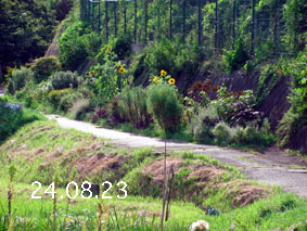 Ԓd|24.8.23