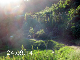 Ԓd|24.9.14