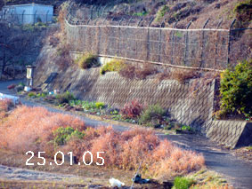 Ԓd|25.1.5