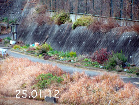 Ԓd|25.1.12