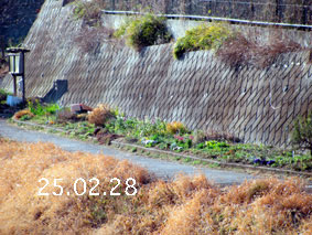 Ԓd|25.2.28