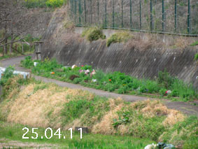 Ԓd|25.4.11