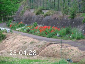 Ԓd|25.4.28