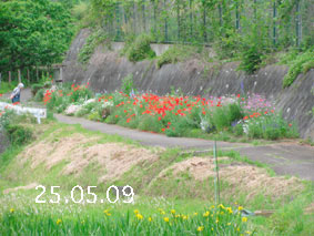 Ԓd|25.5.9