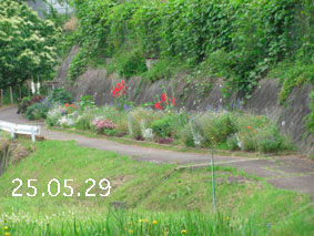 Ԓd|25.5.29