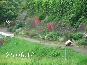 Ԓd|25.6.12