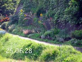 Ԓd|25.6.28